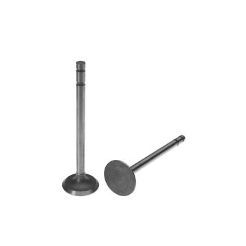 Intake Valve for International 366302R2