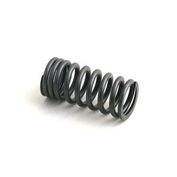 Exhaust Valve Spring for International 368450R1
