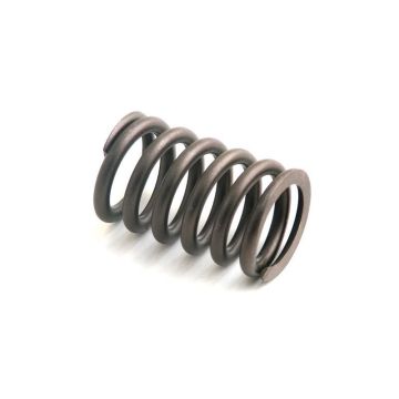 Intake Valve Spring for International 677349C1