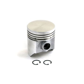 Piston for Ford, New Holland 161365