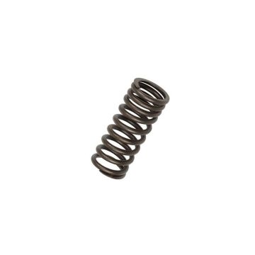 Valve Spring for Ford 8N6513