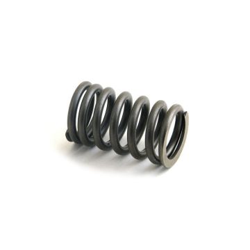 Valve Spring for Ford E1ADDN6513