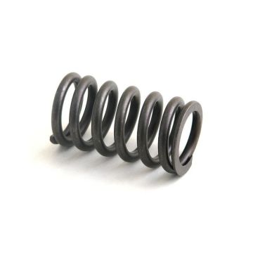 Intake & Exhaust Valve Spring for Cummins, Case 3906412