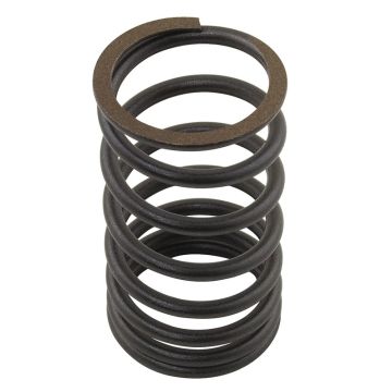 Intake & Exhaust Valve Spring for Massey Ferguson 31745121