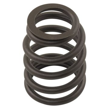 Valve Spring for Perkins 3174A016