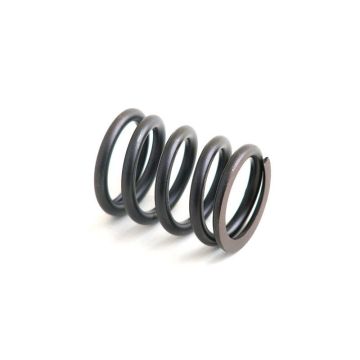 Valve Spring for Perkins 3174P409