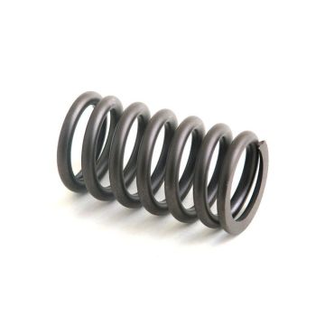 Valve Spring for John Deere R91822