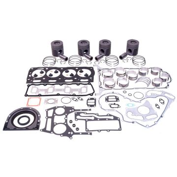 Overhaul Kit