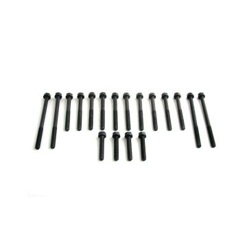 Cylinder Head Bolt Set for Cummins, Case 3920779
