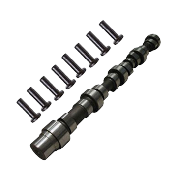 Camshaft & Lifter for Cummins, Case 3925582
