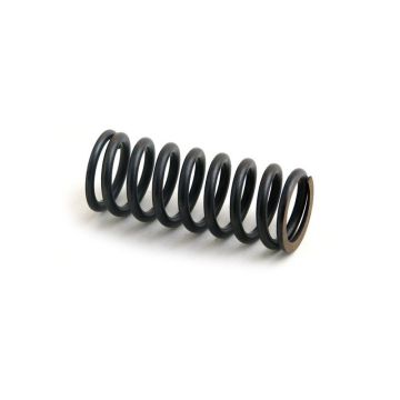 Valve Spring for Waukesha 106573A