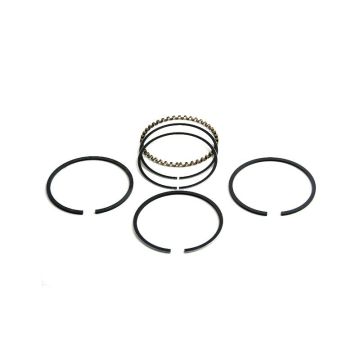 Piston Ring Set for Waukesha 161344AS