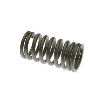 Exhaust Valve Spring for Waukesha K198A