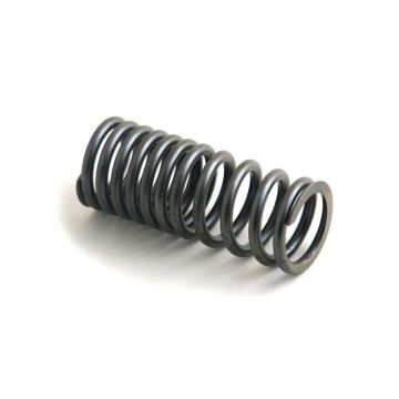 Valve Spring for Wisconsin AF55
